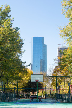 公园篮球场