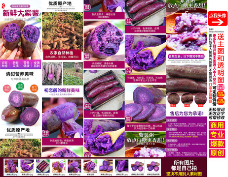 紫薯大紫薯详情主图
