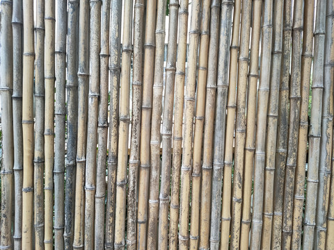 竹杆围墙