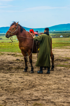 蒙古族蒙古马