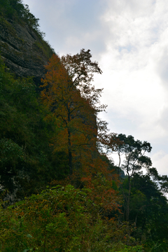 山丘风景