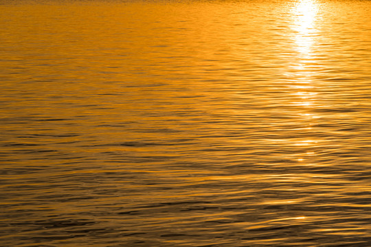 金色水面背景