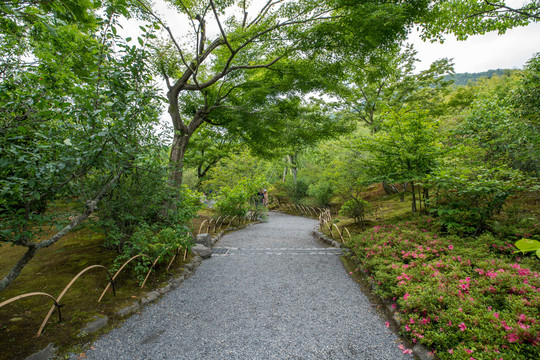 日本京都岚山天龙寺寺院园林景观