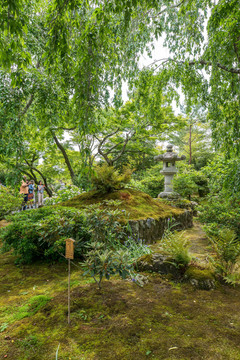 日本京都岚山天龙寺寺院园林景观