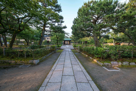日本京都著名景点建仁寺庭院园林