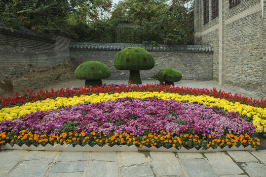 鲜花场景