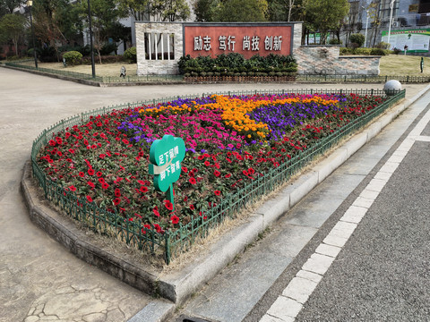 学校励志标语与小型花坛