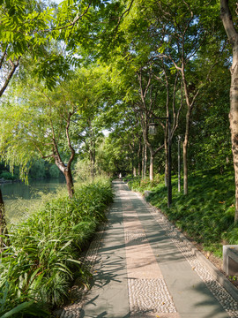 杭州东河游步道