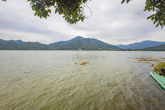 江西大余县风景优美的油罗口水库