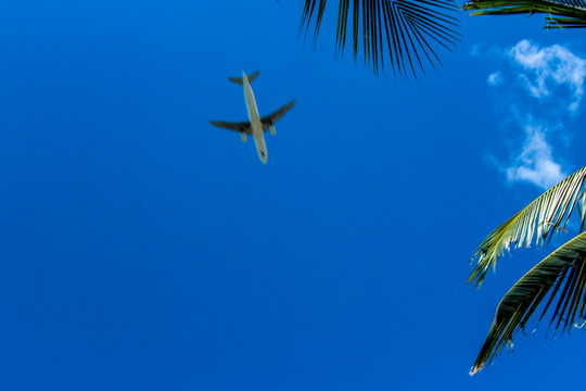 天空的飞机