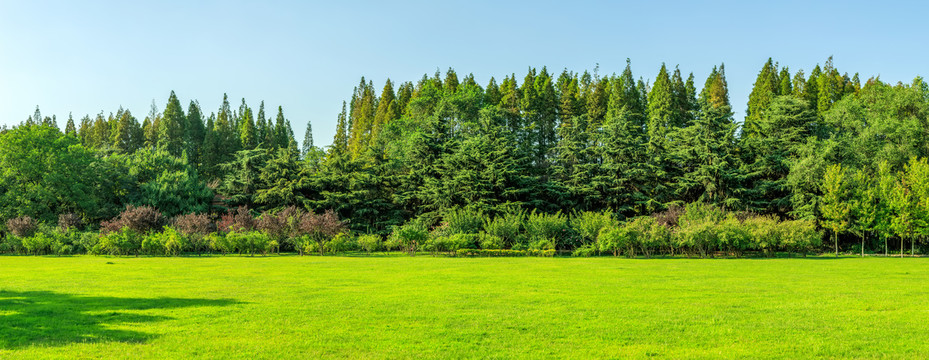 蓝天绿树背景