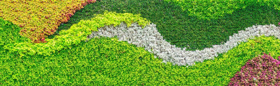 绿植景观墙