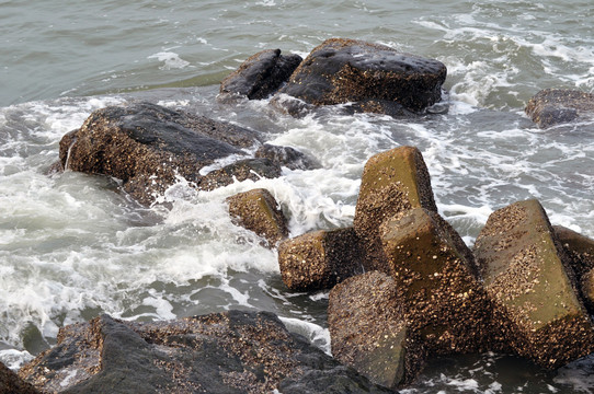 海水石头