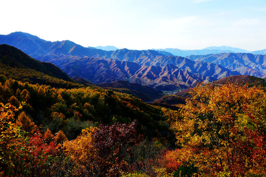 京郊百花山的秋天
