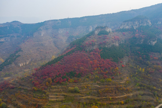 航拍济南黑峪红叶001