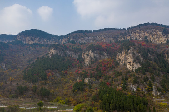 航拍济南黑峪红叶011