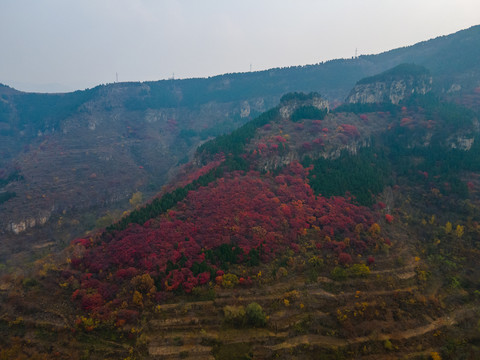 航拍济南黑峪红叶020