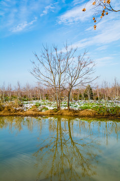 田园雪景