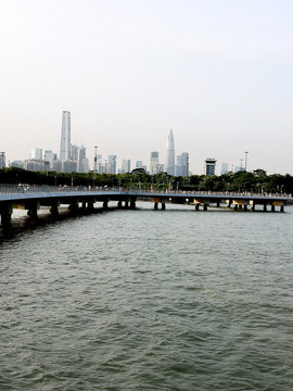 深圳湾公园观景栈桥