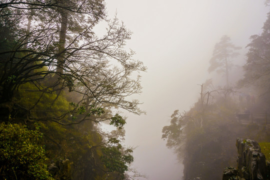 雾气中的峨眉山