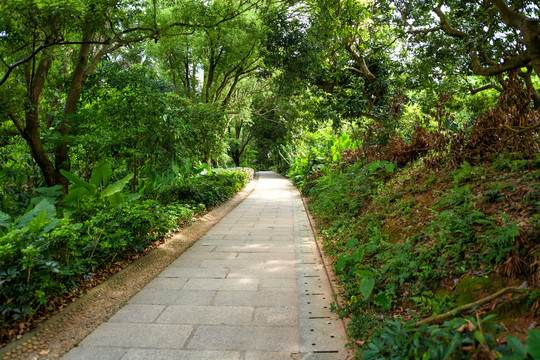 莲花山公园登山道