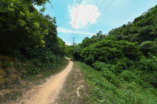 山间小路