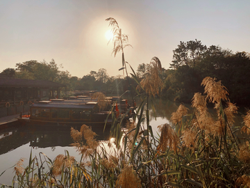 夕阳下西溪湿地摇橹船