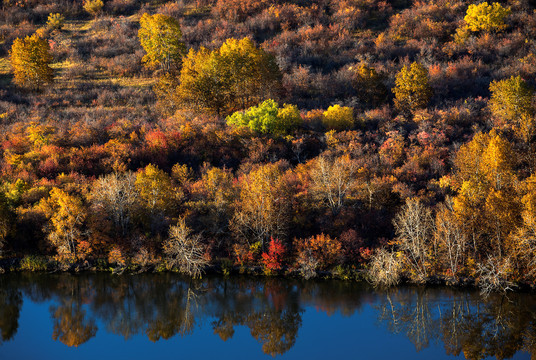 根河湿地的秋色
