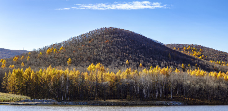 山