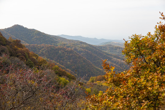 山林秋景