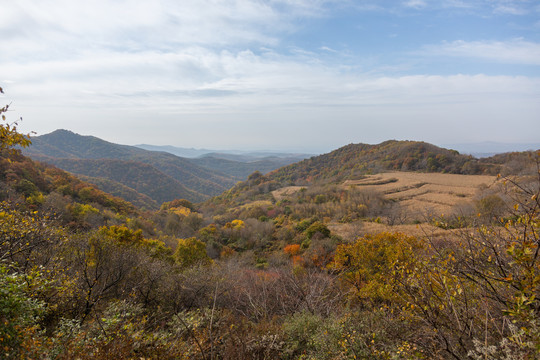 山林秋景