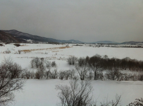 雪景