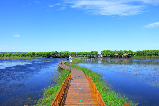 高原湖泊湿地栈道