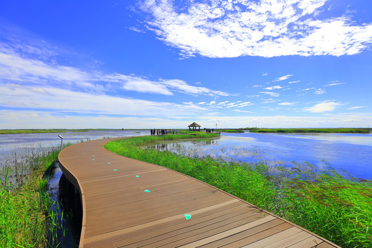 高原湖泊湿地栈道