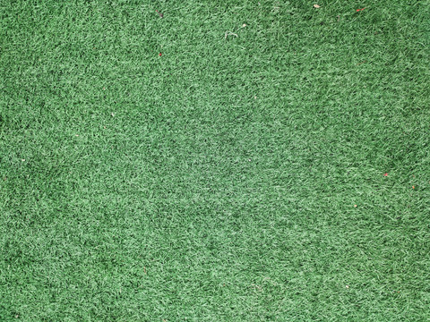 绿色地毯背景