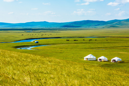 河流草原蒙古包