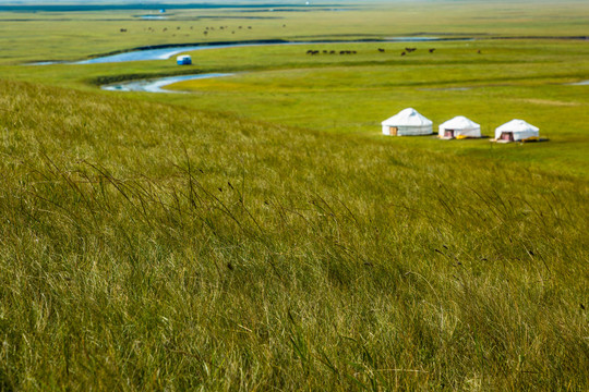 秋季草原蒙古包河流