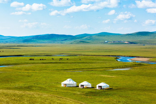 莫日格勒河草原蒙古包