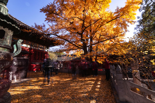 红螺寺秋色