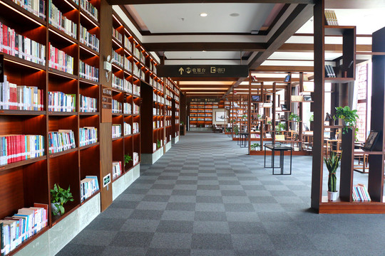 现代图书馆