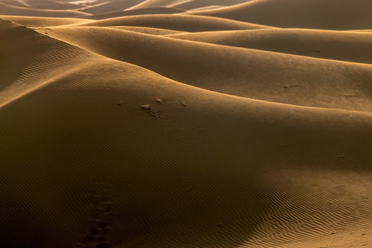 日落时的沙漠曲线