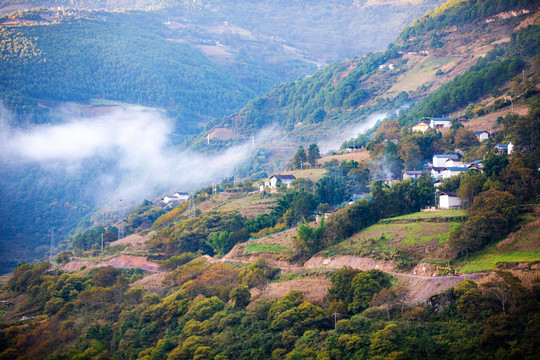 高山云雾