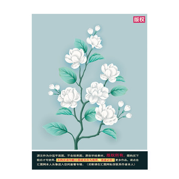 茉莉花插画