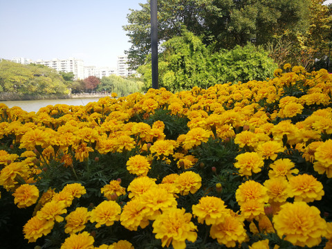 京杭大运河杭州风光