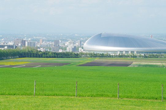 田野