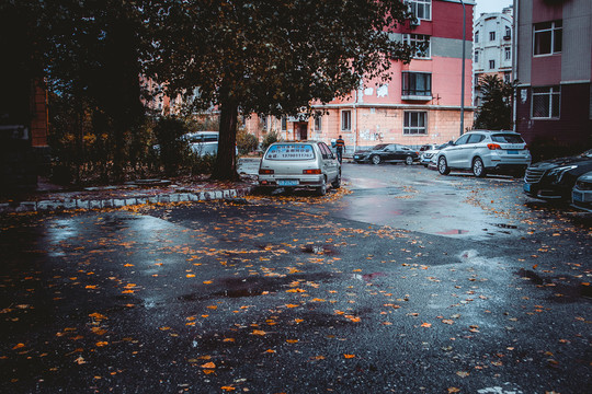 秋季黄色落叶秋天柏油路马路雨后