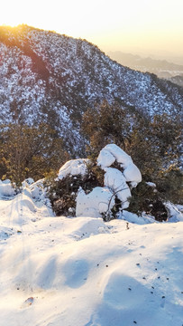 雪后阳光