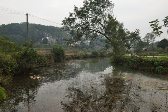 河道村庄