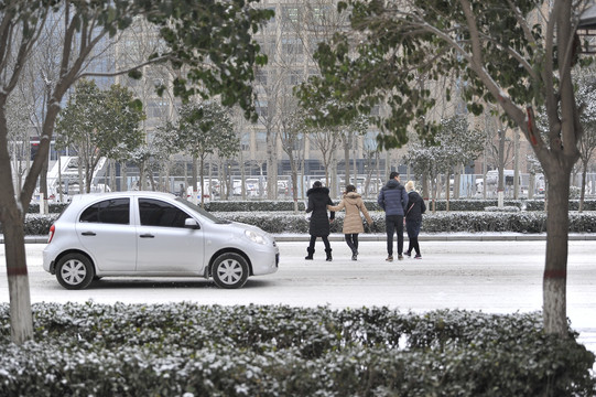 雪中百态