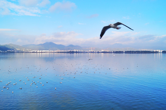 昆明滇池海埂公园